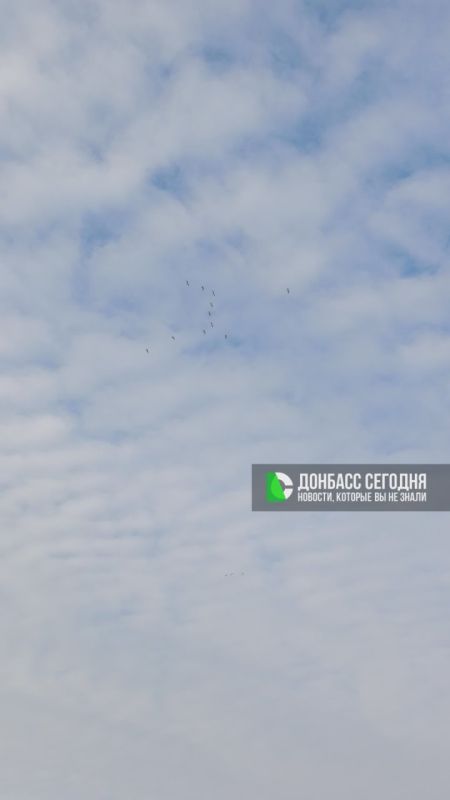 Стройный клин редких гостей в донецком небе