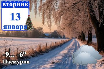 ��� ��� �������������:. ���������� �� ������� � ���������� ��������� 13 ������