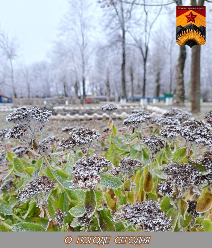 ��������� �����: ������������� ������� � ������ � ���������� ������