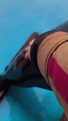 ��� ��������� ������, ����� �� ������� ������ �������