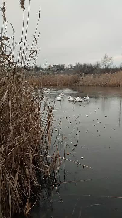 ������ ������� �� ���� � ������� ������� � ���������