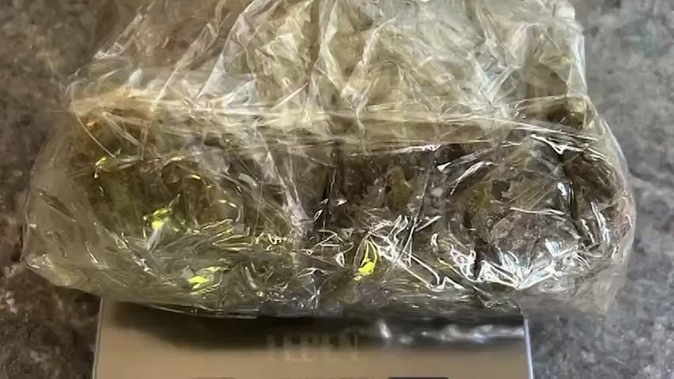 25 человек задержаны в ДНР за торговлю наркотиками, сообщили в УФСБ по региону