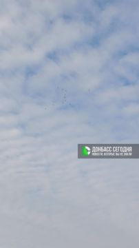 Стройный клин редких гостей в донецком небе