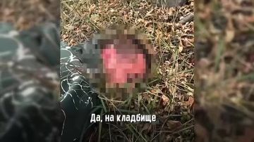 ����������� ��� ������ �� ��� ��������� 25 ������� ������, ������������ ���������, �������� � ���������������� ���������� ����� ���������� ��������