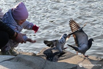 Погода на новых территориях России