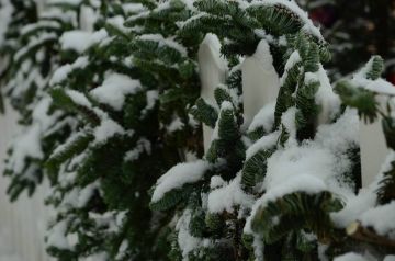 ��������� ������ ���������� ������ ��������! � ������ � 15.01.2026 �. �� 01.02.2026 �. ��� ��� ���������������� ������������ ����� �������� ����������, � ���� ������� ����� �������������� ���� ���� � ����� ��� ����������...