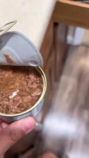 �� ���������� ������� ������� � �� �� ����������