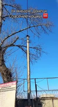 ������ ������� �������� �������������� ������ �����, ����������� �� ������ � 4 ����