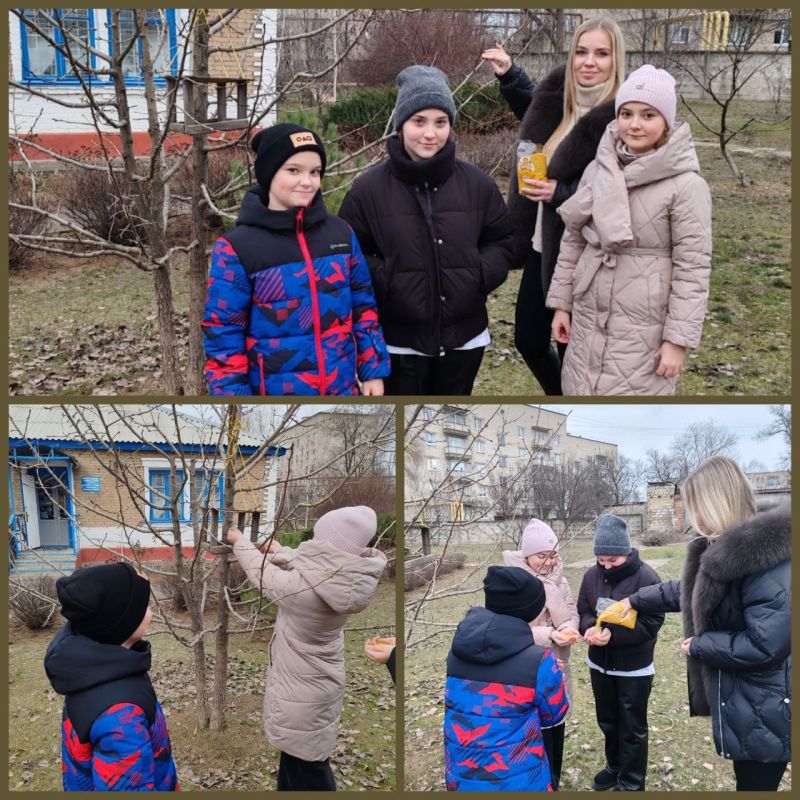 Зима — это непростое время для птиц