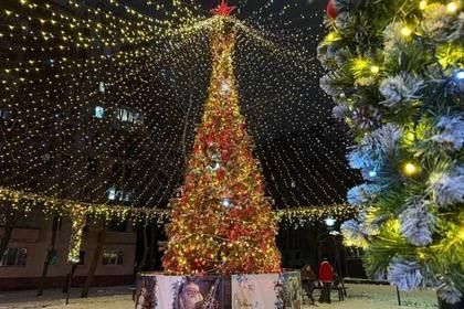 Макеевка победила в номинации «Елка России. Новый горизонт»