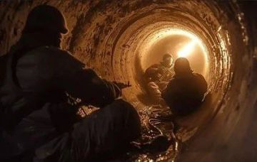 ��������� ���: �������� ����:. ����� ��������� ���