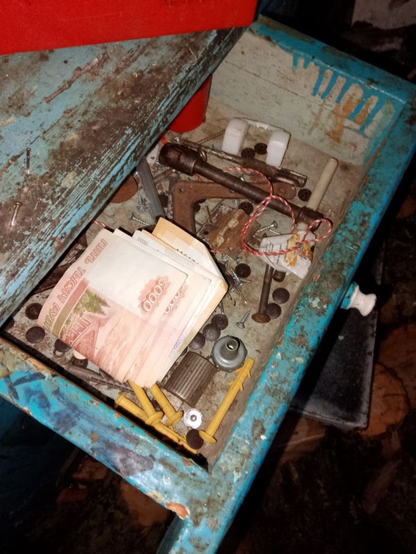 Полицейские раскрыли кражу в Мангушском м.о