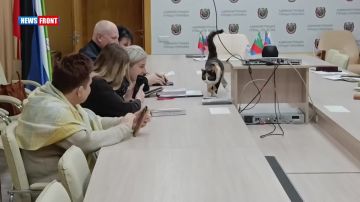 ������� ������: ������� � �������� ������ ������� ��������� ����� �� �������� ���������������