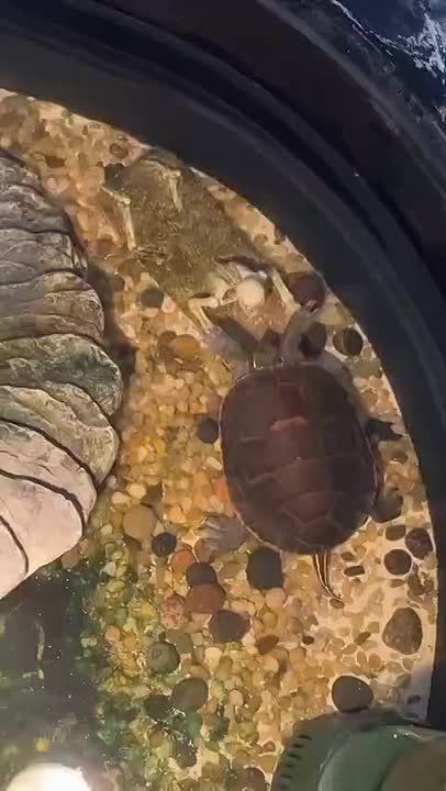 Когда пытаешься разбудить кого-то утром