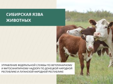 ��������� ���� � ������� ������������ ����������� ��������, ������� ����� ������������ ��������