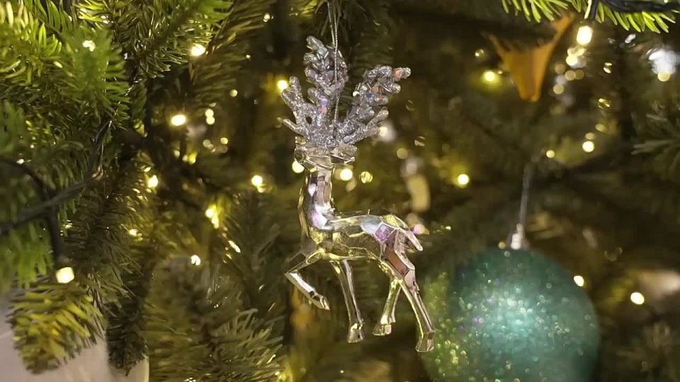 Катя из Горловки получила новогодний подарок от мэра Норильска Красноярского края