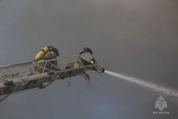 �� �������� ����� � ��� ������������� 13 ������� � �� ��� ������ �� ����������