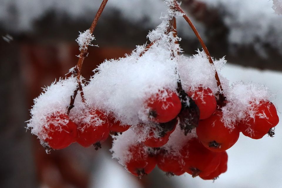 16 ������ � ���������� ���������� ����������, ����