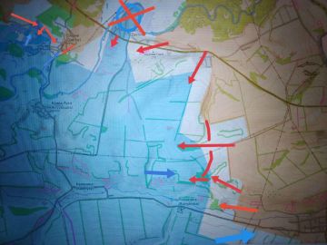 ���� �������: ��������-���������� �����������