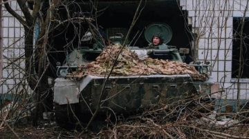 ����������� ���, ��� ����: ������������ ��� ������� ������������ ������� �� ����� ������ � ��������������