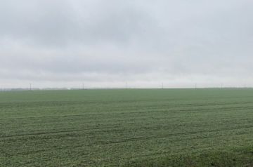 ������ ������� ��������� ����������� � ���