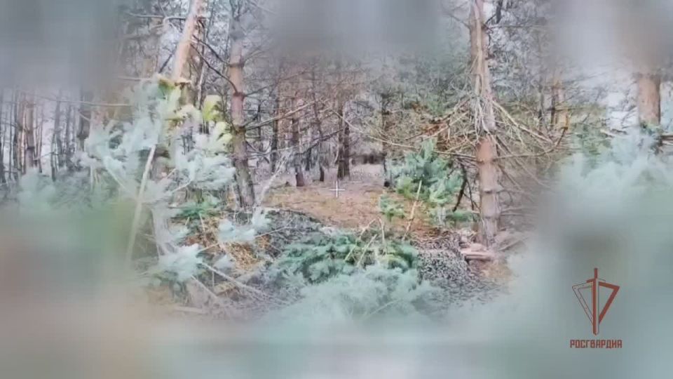 На харьковском направлении расчёты БЛА донецкой «стальной» бригады Росгвардии уничтожают транспорт и орудие ВСУ