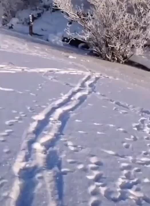 ���� ����������� � ������� �� ����� � ��������