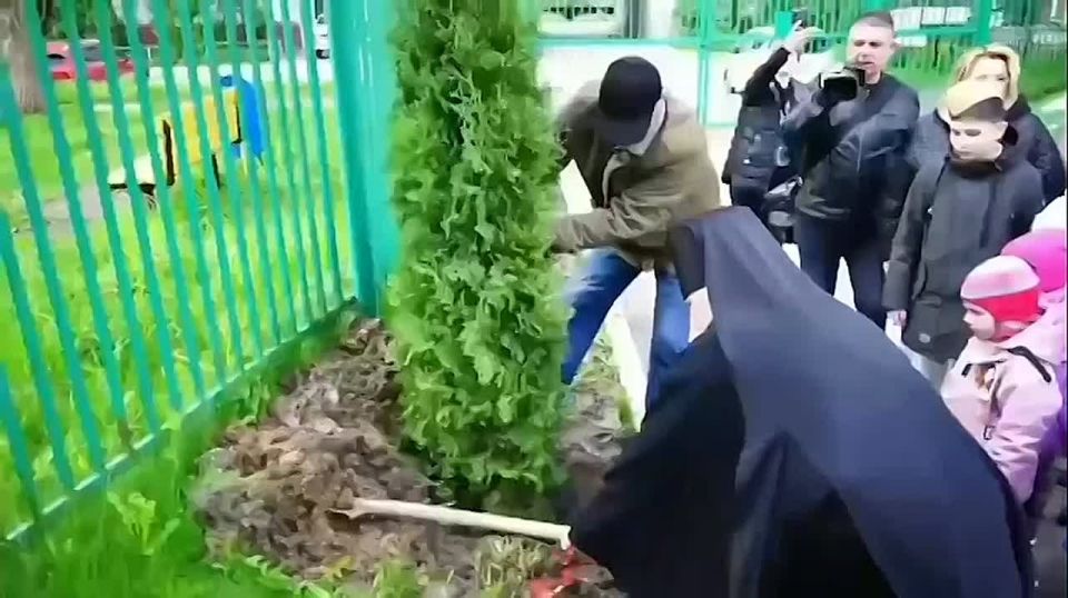 �������� �������� �������� ������������� �������� �������� ��������������� ���������� �����