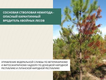 �������� ��������� �������� � ���������������� �����, ������� ������� ������� ��������, ���������� �������� �������� � ������ ��������