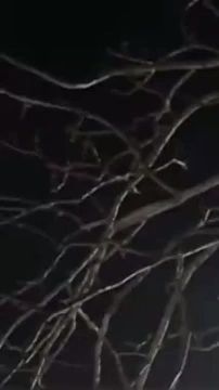 ����� ������ ��� �������� ������ ����� ����������