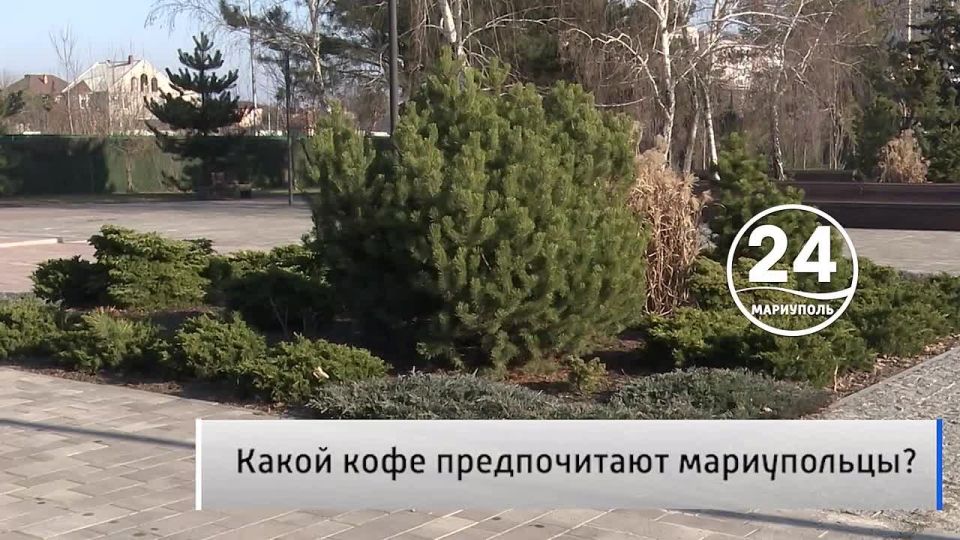 Народное мнение 17.01. Латте или эспрессо? Любят ли мариупольцы кофе и какой предпочитают? По статистике кофе занимает второе место в мире по объёмам продаж, а сорт арабика остается абсолютным победителем