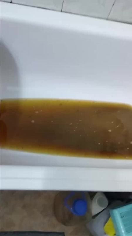 ������ ����� � �������� ������� ��������� ���� � ������� ������������, ��������� �� ���������