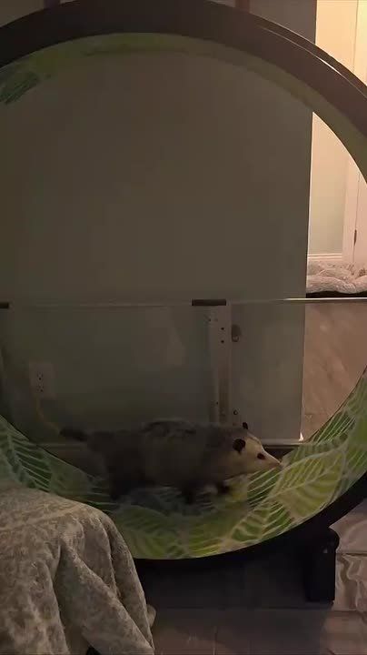 �������� ���� � ����� ����� ���������� �������!