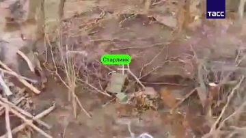 ����� ����������� ����� ���������� ����� ��������� ����������, ������� ����� � ������� Stalink ��� �� ��������� �����������, �������� ���� � �� ��