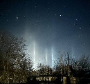 �������� �������� ������ ��������� � ���� ��� ���