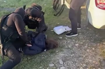 ��� ������������� ������� � ����������� ���� � ���������-��������