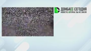 ������������� ����������� ������ ���������� ������ �������� �� ���������������, ����������� � ���������������� ������������