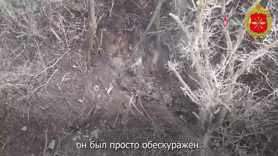 ����� ������������� ������� �� ������� ������ ����������� ���������� �� ������������ ������ �������� � ���