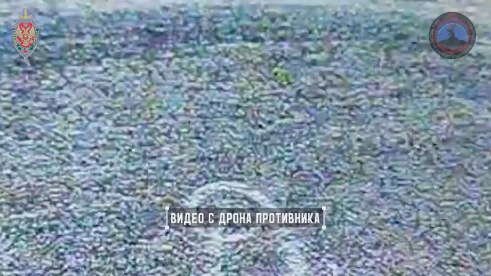 Денис Пушилин: Системой РЭБ «Купол Донбасса» за неделю предотвращены 286 террористических атак со стороны противника