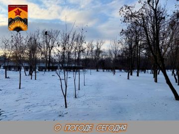 ��������� �����: ������������� ������� � ������ � ���������� ������