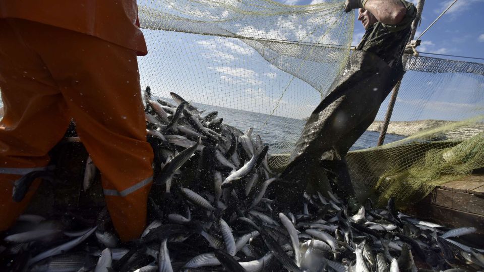 ���� � ����� ������� ������ ���������� �������� �������������� ���������