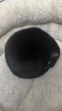 �������� ������� ��������� ����