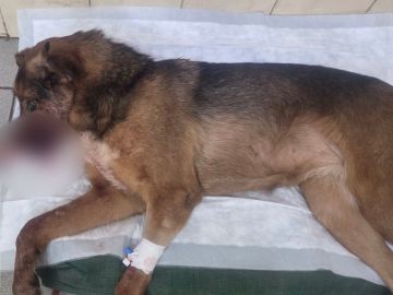 �������� ����������� ����� ����� � �������� ���� � �������: ������ ������ �����