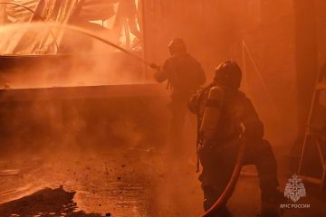 ��� �� ����� ������������� 17 �������