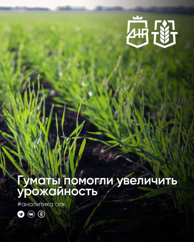 Применение гуматов в хозяйствах ДНР уже показало высокую агрономическую эффективность