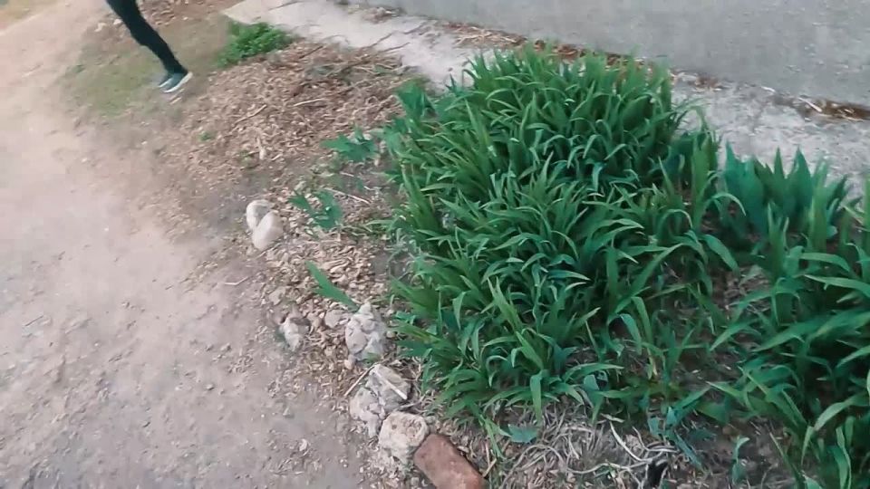 ������ ����������: ������� �� 14 ��� ������� ������� �������� ��� ����������, ������������� ������ � ����� � ����������