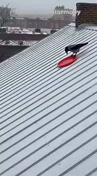 ���� � ��� � � ������ ����, � � ��� ����! ������ � �� ������ ��� ���������, ����� �� ���: