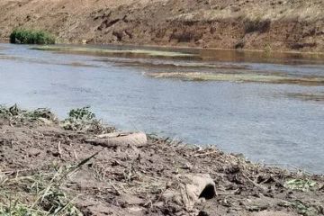 ��������� ������������� ���: ������� �������� ��� ����������� ����������� ���� �� ��������� ����������