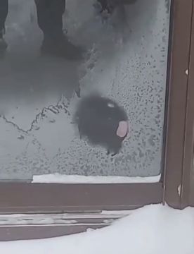 �����������! �� ����� ���������� ��������� ������� �������������� ������