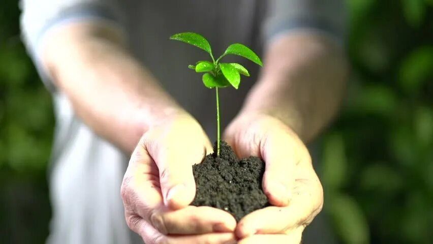 ���������� ��� ����������� � ������ ��������� � �������� ������������� � ����� ������ ���������� �����